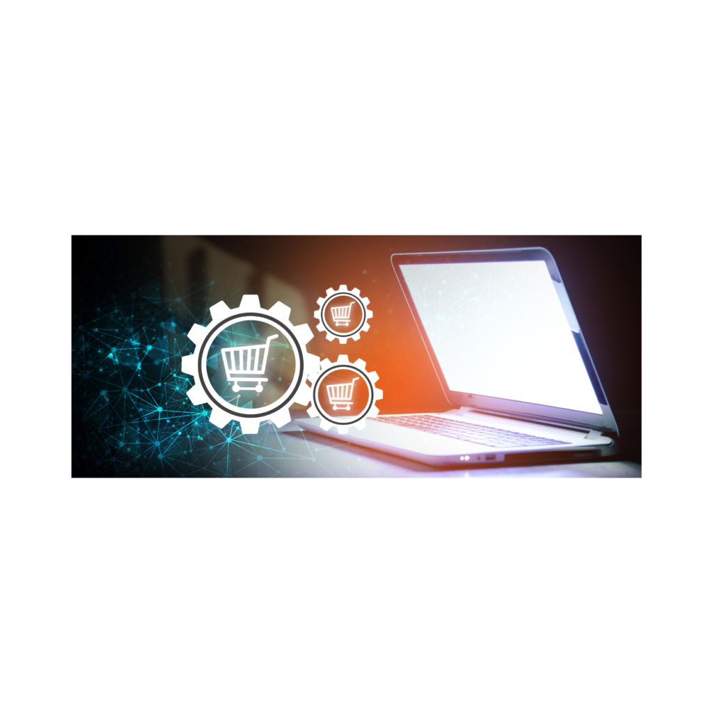 INFORMAZIONI COMMERCIALI ONLINE 12