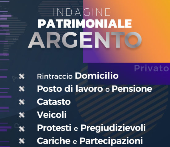 Indagine patrimoniale debitore privato