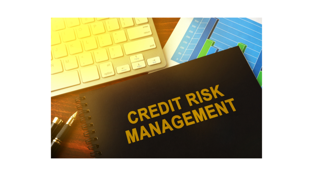 gestione del credito 1