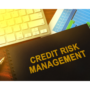 Gestione del credito e informazioni commerciali