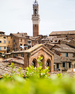Indagini Patrimoniali a Siena